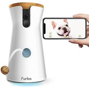 Dog camera